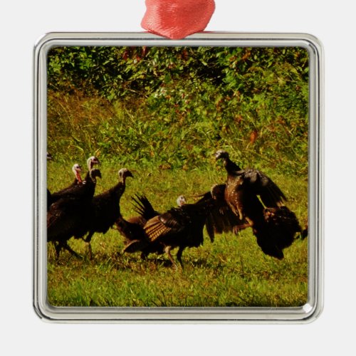 Fighting Wild Turkeys in The Smoky Mountains Metal Ornament