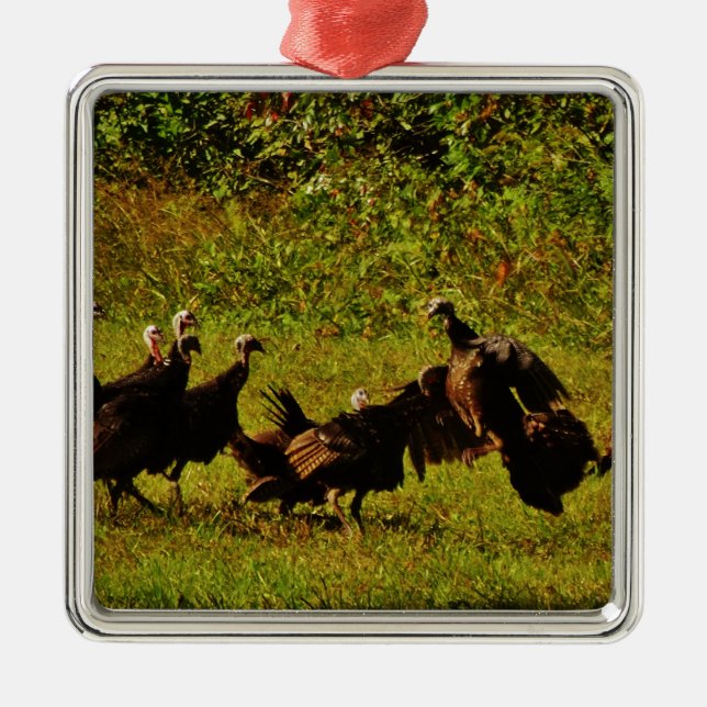 Fighting Wild Turkeys in The Smoky Mountains Metal Ornament (Front)