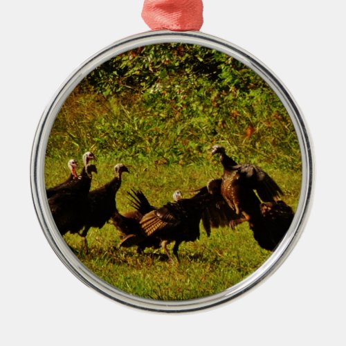 Fighting Wild Turkeys in The Smoky Mountains Metal Ornament