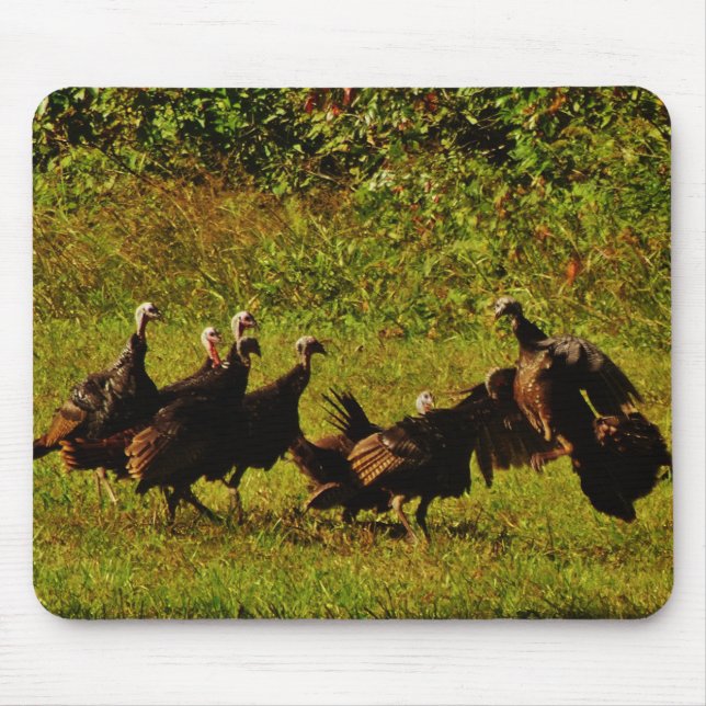 Fighting Wild Turkeys in The Smoky Mountains Mouse Pad (Front)