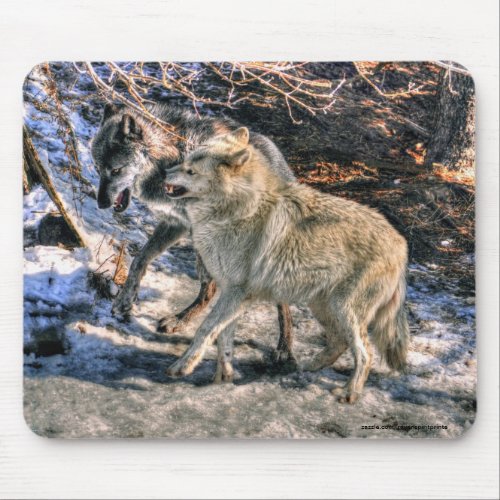 Fighting Wolves Wildlife for Animal_lovers Mouse Pad