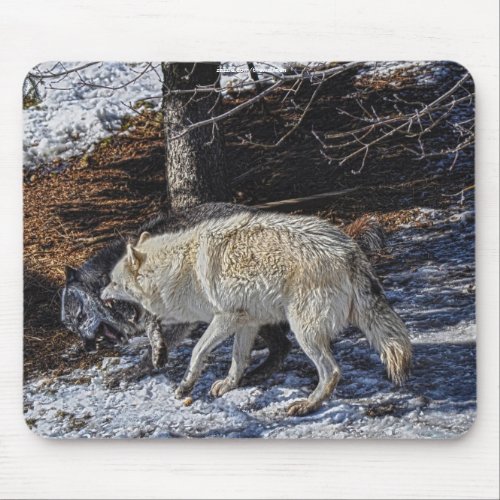 Fighting Wolves Wildlife for Animal_lovers Mouse Pad