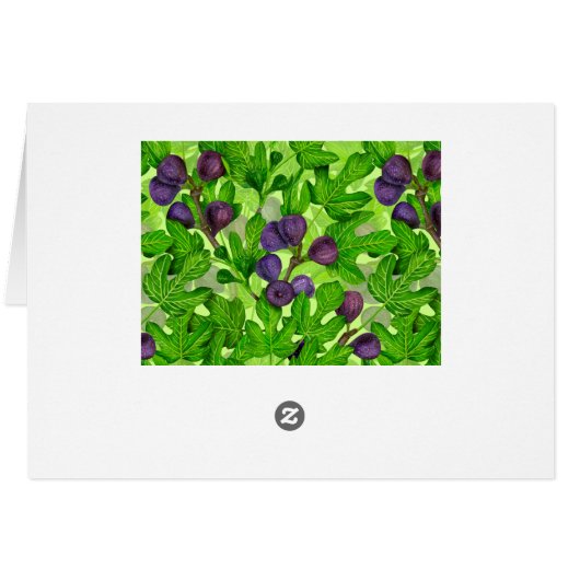 Figs 2 (Back Horizontal)