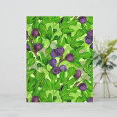 Figs 2 (Standing Front)