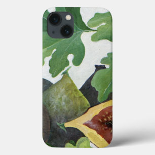 Figs 2013 iPhone 13 case