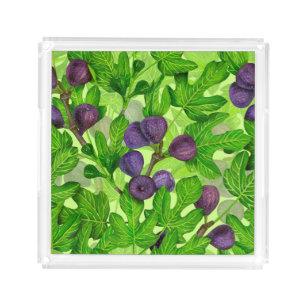 Figs 2 acrylic tray