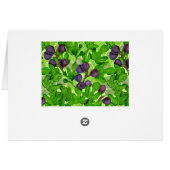 Figs 2 cards (Back Horizontal)
