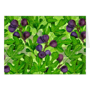 Figs 2 cards