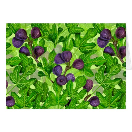 Figs 2 cards (Front Horizontal)