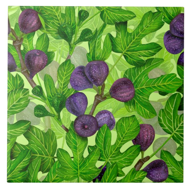 Figs 2 ceramic tile (Front)