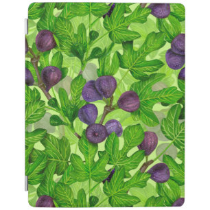 Figs 2 iPad smart cover