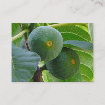 Figs Business Card by northwest_photograph at Zazzle