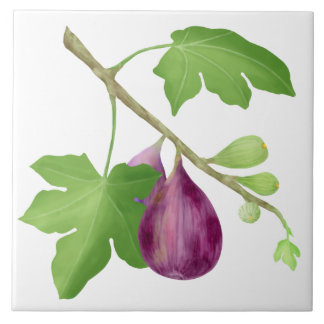 Figs on a branch ceramic tile