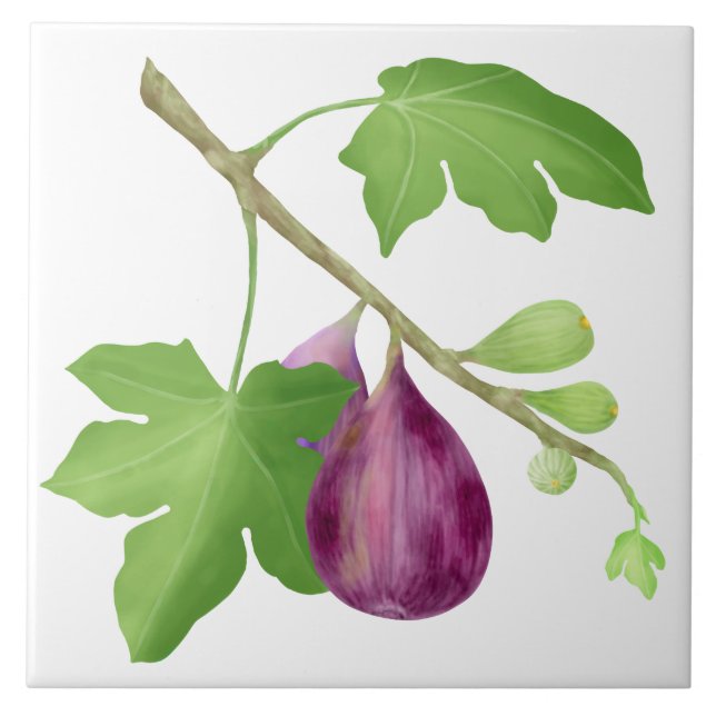 Figs on a branch ceramic tile (Front)