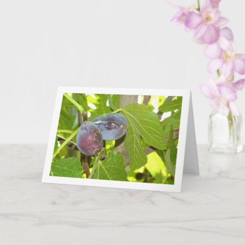 Figs on Tree Portrait Card