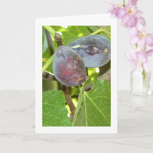 Figs on Tree Portrait Card