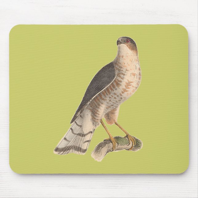 Figure 2 mouse pad (Front)
