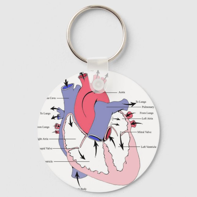 Figure 2. Normal Heart Function.jpg Keychain (Front)