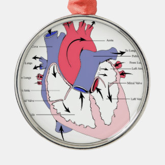 Figure 2. Normal Heart Function.jpg Metal Ornament