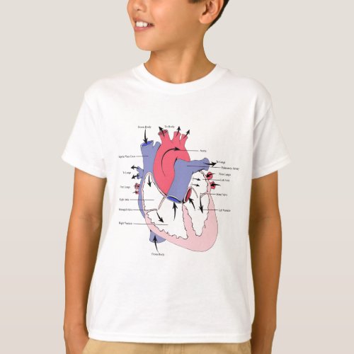 Figure 2 Normal Heart Functionjpg T_Shirt