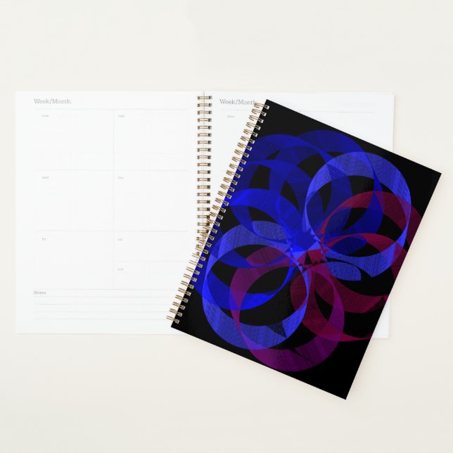 Figure 8 Geometric Planner (Display)