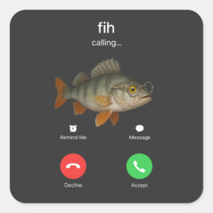 Fih Calling Remind me Message Decline Accept Phone Square Sticker