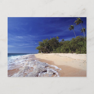 Fiji Islands, Tavarua. This beach on Tavarua, Postcard