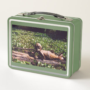 Fiji Mermaid Lunch Box by Juan Cabana