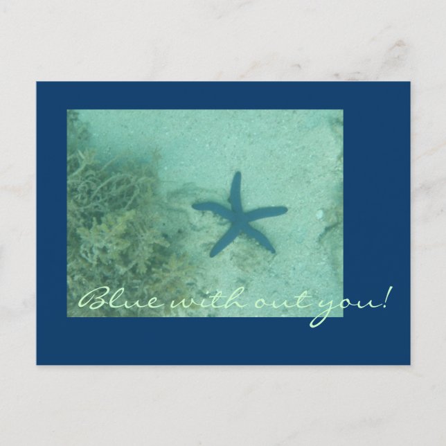 Fiji Postcard (Front)