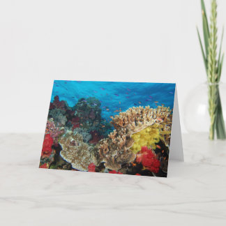 Fiji Reef Scene Card