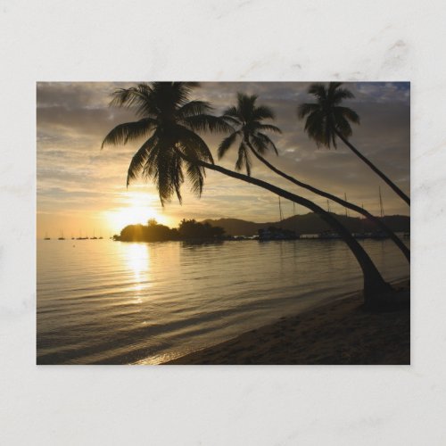 Fiji Sunset Postcard