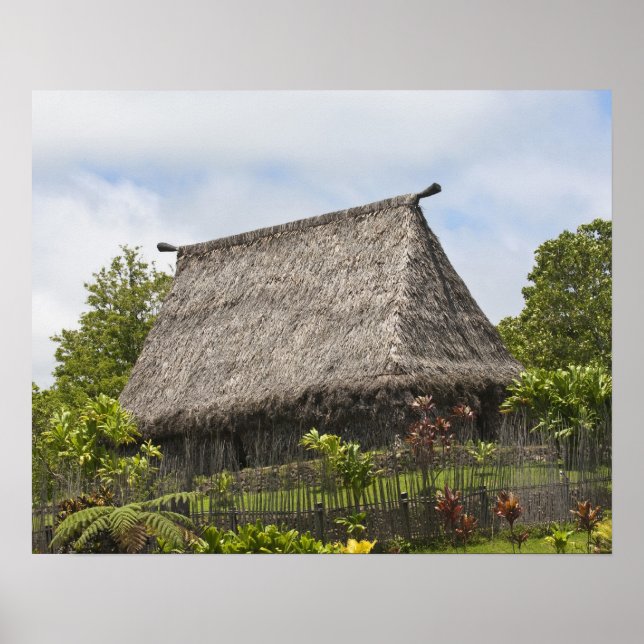 Fiji, Viti Levu Island. Cultural Polynesian Poster (Front)