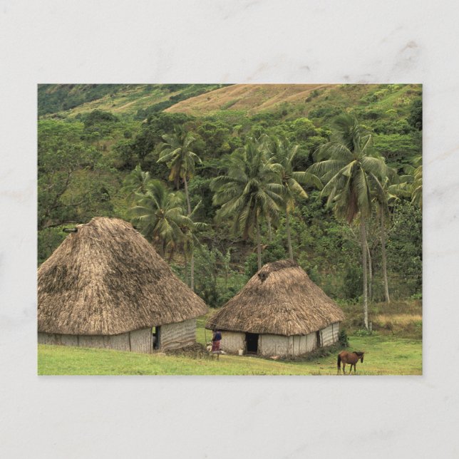Fiji, Viti Levu, Navala, Traditional Bure houses Postcard (Front)