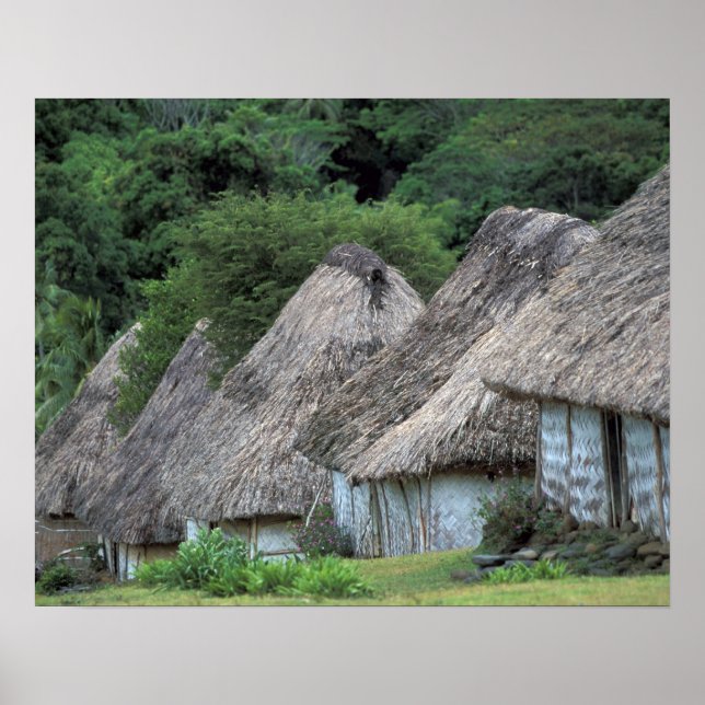 Fiji, Viti, Traditional hut houses. Poster (Front)