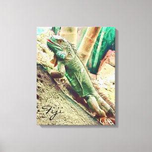 Fijian Iguana lizard reptile Canvas Print