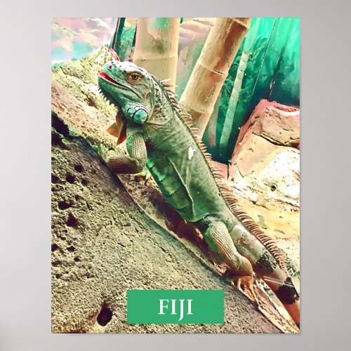 Fijian Iguana lizard reptile Poster