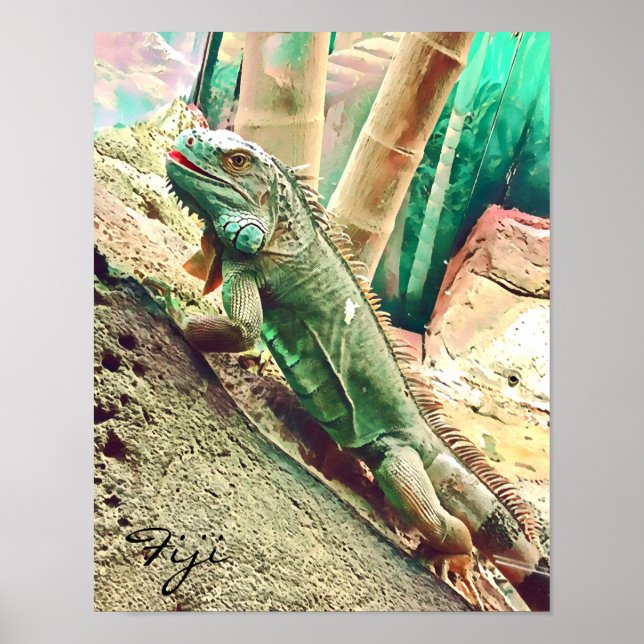 Fijian Iguana lizard reptile Poster (Front)