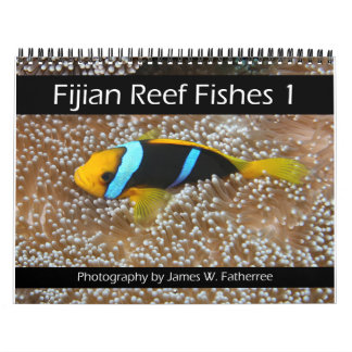 Fijian Reef Fishes Calendar 1