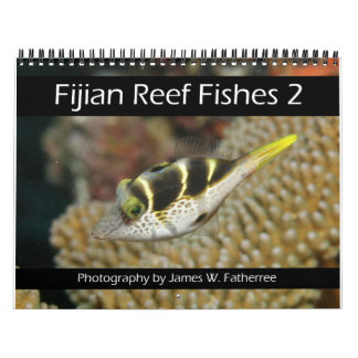 Fijian Reef Fishes Calendar 2