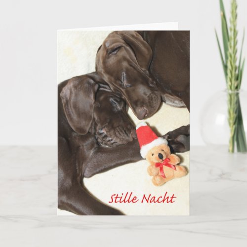 Fijne Kerstdagen German Pointer Sisters Holiday Card