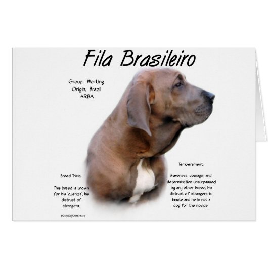 Fila Brasileiro History Design (Front Horizontal)