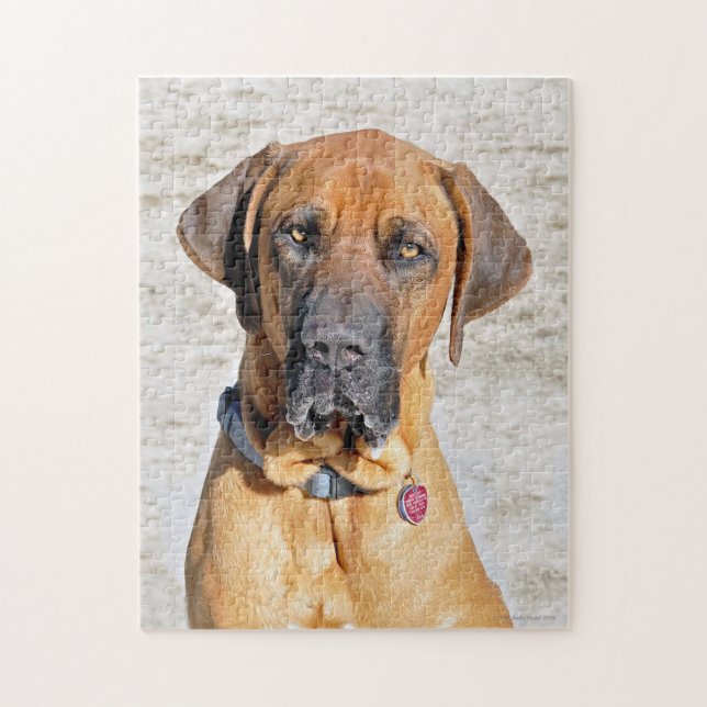 Fila Brasiliero Mastiff Jigsaw Puzzle (Vertical)