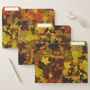 File Folders - Autumn Leaves