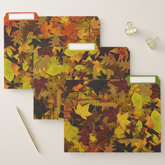 File Folders - Autumn Leaves (Set)