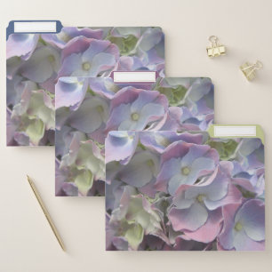 File Folders - Pastel Rainbow Hydrangeas