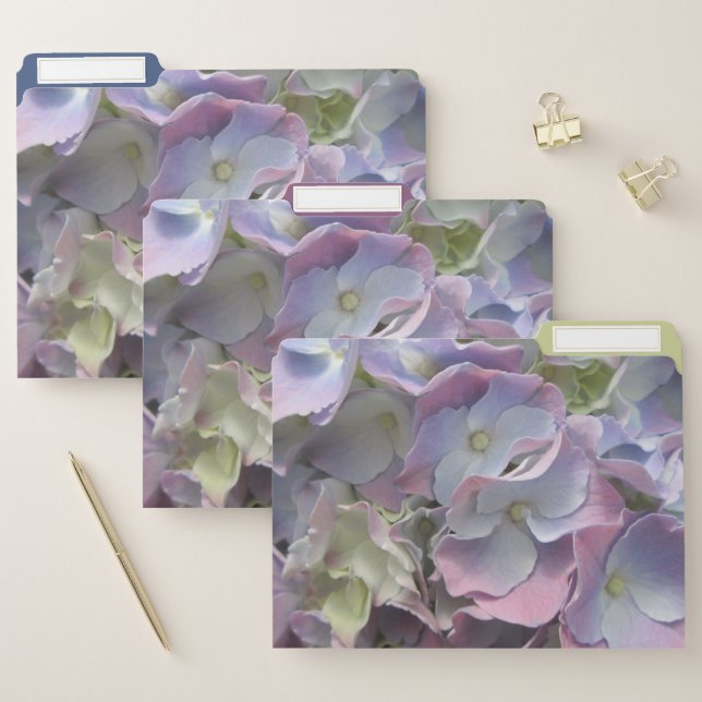File Folders - Pastel Rainbow Hydrangeas (Set)