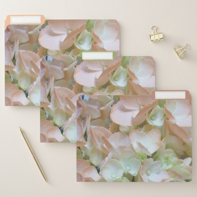 File Folders - Peach Hydrangeas (Set)