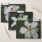 File Folders - Southern Magnolia