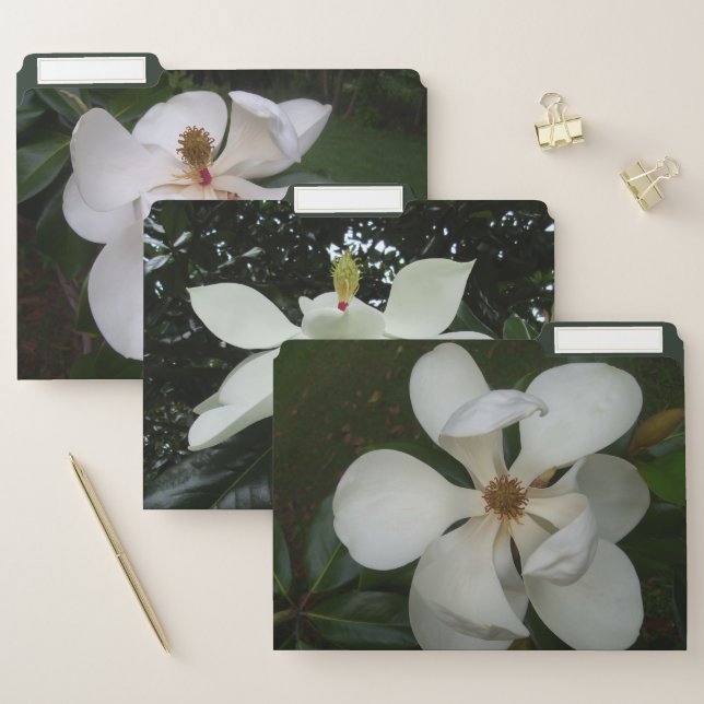 File Folders - Southern Magnolia (Set)