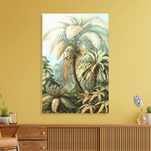 Filicinae by Ernst Haeckel, Vintage Fern Plants Canvas Print